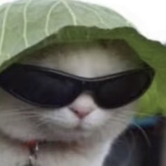 bubben
