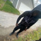 YOUNGANJO3