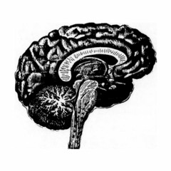 Memory Palace Project