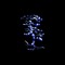 Blue Night Jungle