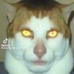 𝕻𝕬𝕬𝕹𝕾𝕴