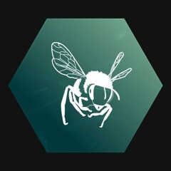Melifera