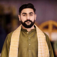 Hamzabutt1419
