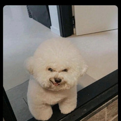 heheheheh