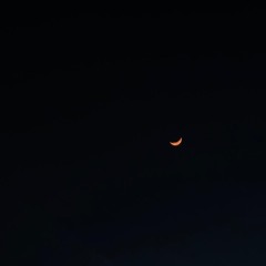 Shwetank Tripathi 42