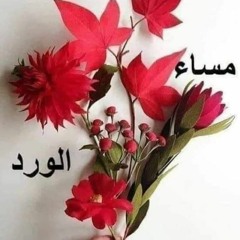 لطفي الفخري