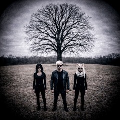 The Miracle Syndicate