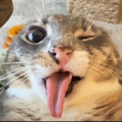Mimigun