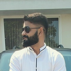 the_beardednomad