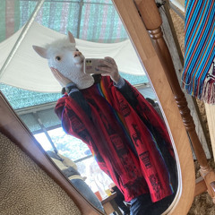 sandalpaca