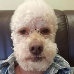 maddoxstern