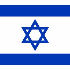 Pro-Israel Activist
