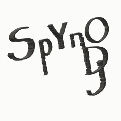 SpYnO DJ