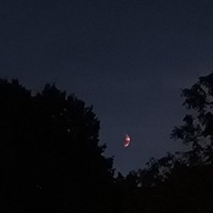 Daniël Medrano Rojas