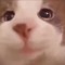 ReemSWK