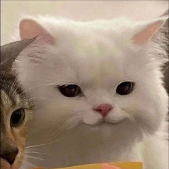 tdung