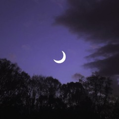 Skies