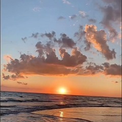 LS