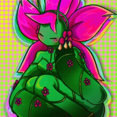 N.FEMINATI0N