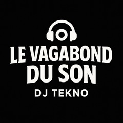 Le Vagabond Du Son
