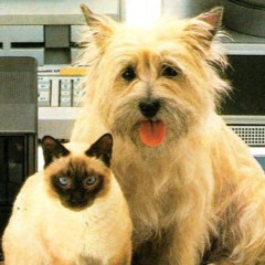 ☝︎yeegoopigoo☝︎