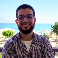 Muhammad Samy Al-Otaiby