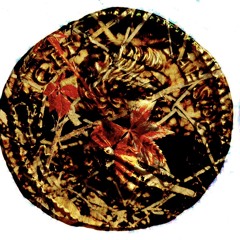 federal (Tracker) k10