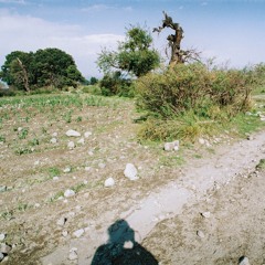 jesus magaña