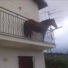 ূী