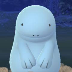 hai