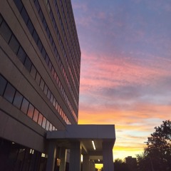 Miguel Ángel Benítez Canales