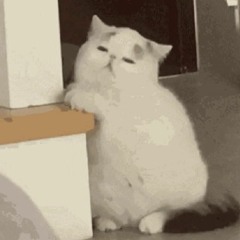 如月希海