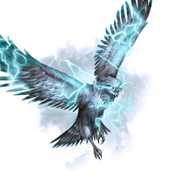 damagethunderbird