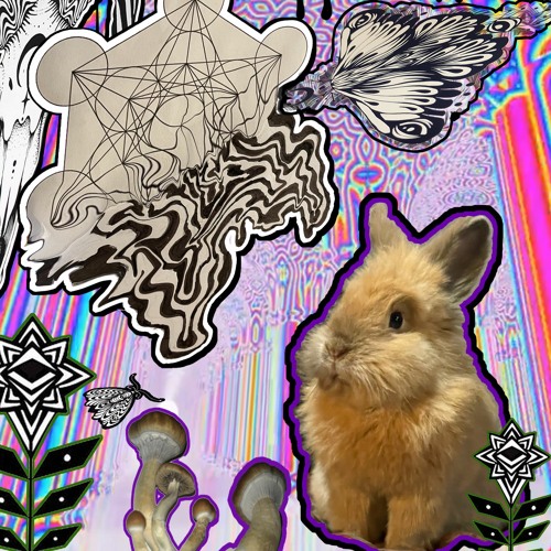 Kzzz Rabbit’s avatar