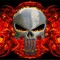 13blackout . T6PUNISHER