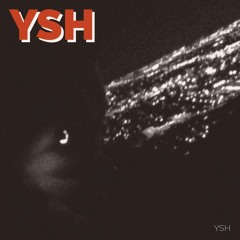 YOUNG STONED HUSTLR / DRE4M3R