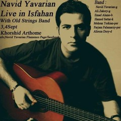 Navid yavarian