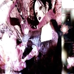 ★·.·´ᏢᏒᎥᏁᏟᎬxxᏉᎪᏞ`·.·★