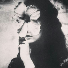 - نور العين