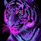 tiger cub