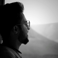 m. amin ansari