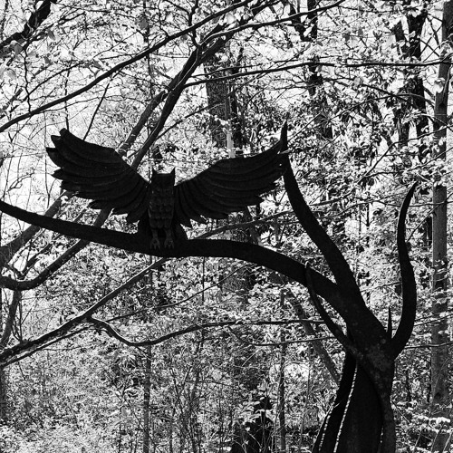 telepathy disquiet0718