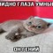 я люблю мефедрон(!)