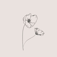 miscellaneous_poppy