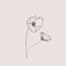 miscellaneous_poppy
