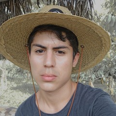 Andres Feijoo