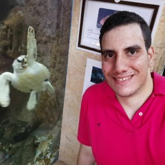 Ahmed Essam Eldin