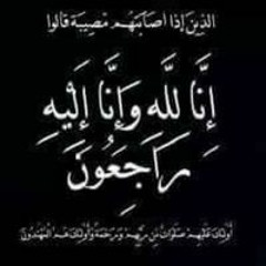 Mohamed Shanab