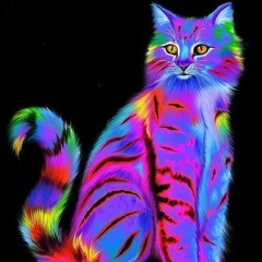 SpaceCat