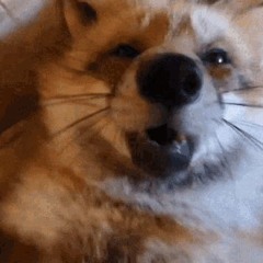 ̷ ̷